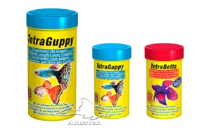  Tetra Guppy, Tetra Betta
