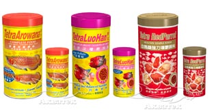  Tetra Arowana, Tetra LuoHan, Tetra Red Parrot