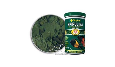  Tropical Spirulina