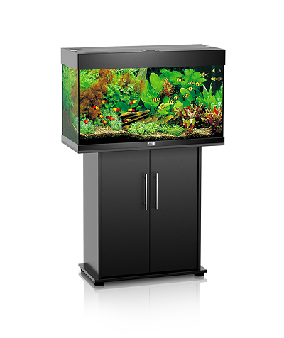 JUWEL RIO 125 ������