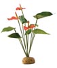 Растение для террариума антуриум ExoTerra Anthurium Bush (Hagen РТ 2992)