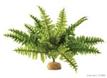      ExoTerra Boston Fern small (Hagen  2990) 