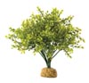 Растение для террариума самшит ExoTerra Boxwood Bush (Hagen РТ 2994)