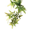 Растение для террариума кротон малый ExoTerra Croton small (Hagen РТ 3000)