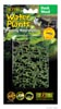 Растение для террариума ряска ExoTerra Duck Weed (Hagen РТ 3061)
