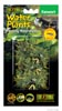 Растение для террариума водяной салат ExoTerra Fanwort (Hagen РТ 3064)
