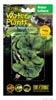 Растение для террариума кабомба ExoTerra Lettuce (Hagen РТ 3063)