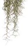 Растение для террариума тиляндрия большая ExoTerra Spanish Moss (large) (Hagen РТ 3092)