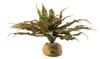 Растение для террариума астрофитум ExoTerra Star Cactus (Hagen РТ 2982)