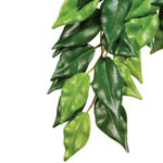    ExoTerra Ficus (medium) (Hagen  3040)