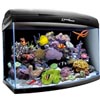 Аквариум Aquael ReefMax Black
