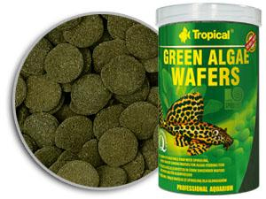 GREEN ALGAE WAFERS