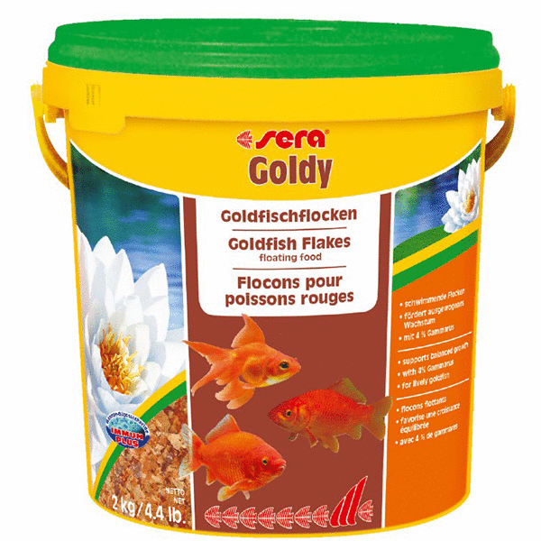 Sera  (Sera Goldy) 10 .           