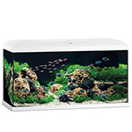 Аквариум Juwel PRIMO 110 LED 2.0 белый